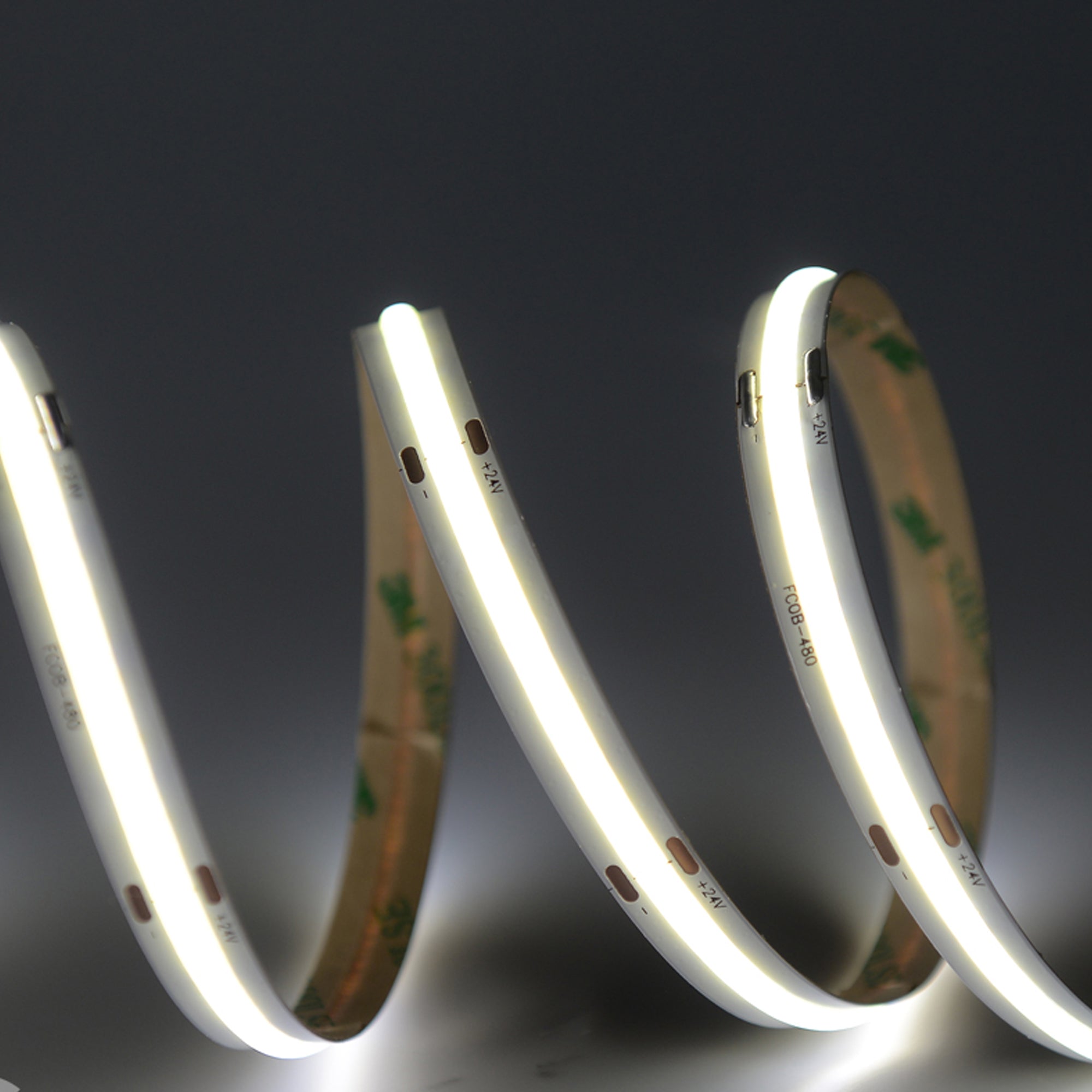 UL certified indoor 24V COB LED strip light 10mm width showing cool white seamless dotless illumination close up