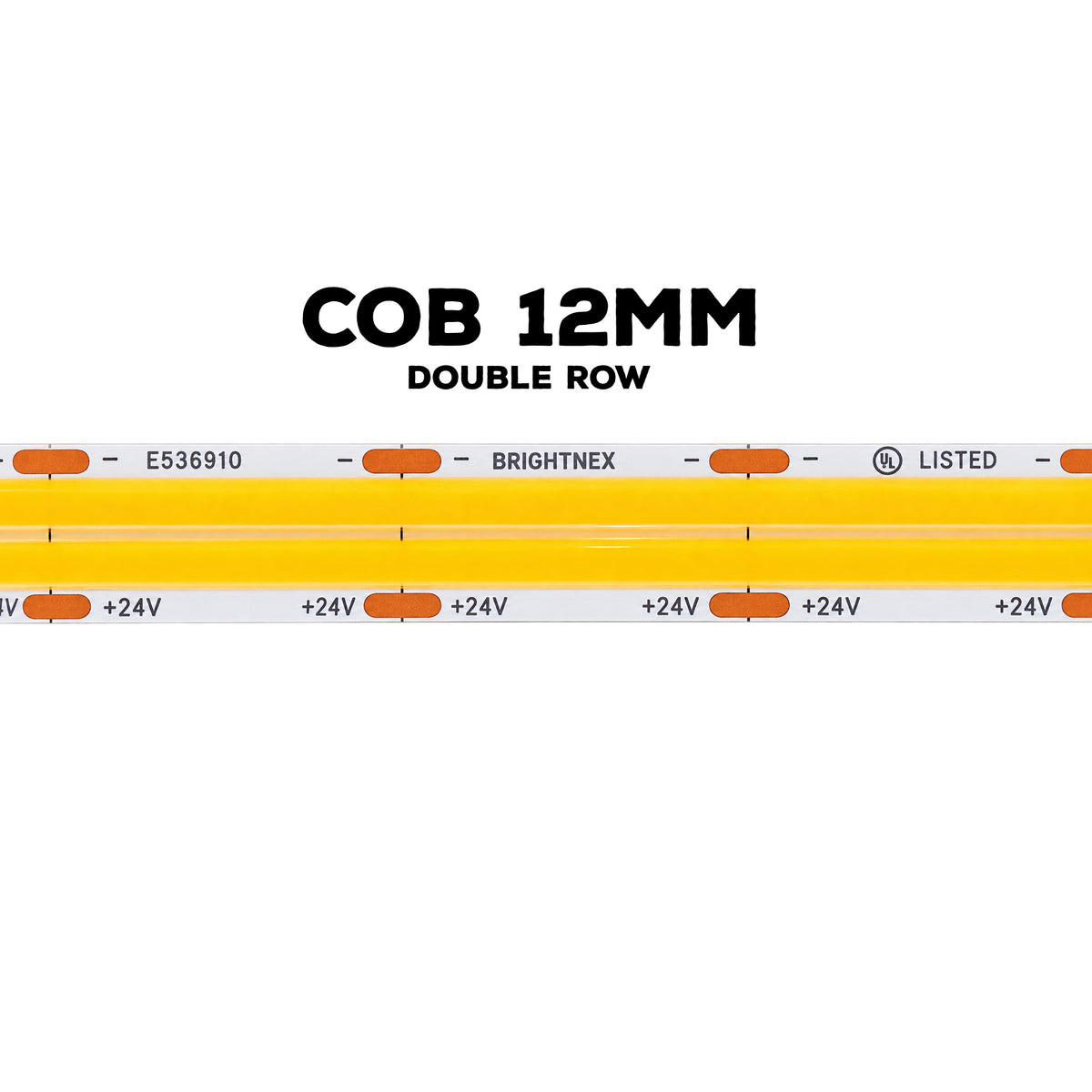 UL certified indoor 24V FCOB double row LED strip light 12mm PCB showing dual COB LED rows and solder pads