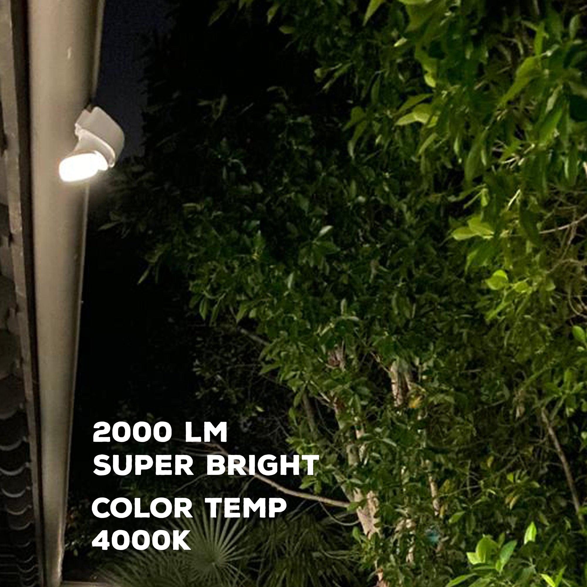Outdoor garden area illuminated by multi directional solar wall light providing 4000K bright white security lighting near trees and building exterior