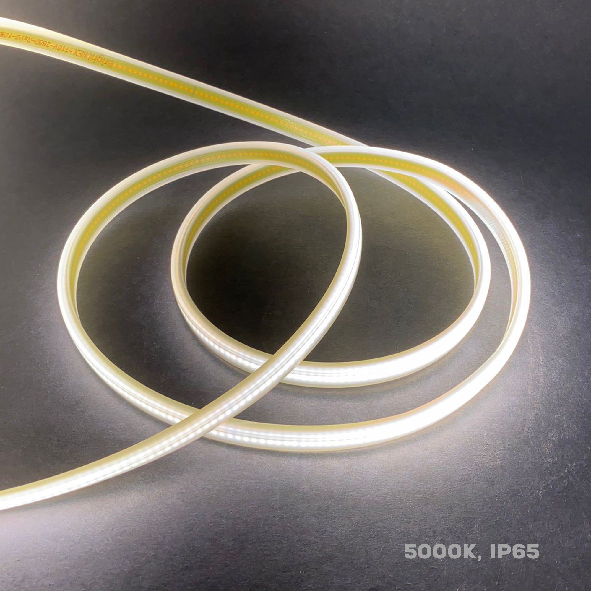 UL certified outdoor 110V COB LED strip light IP65 showing 5000K daylight white illumination dotless waterproof LED strip