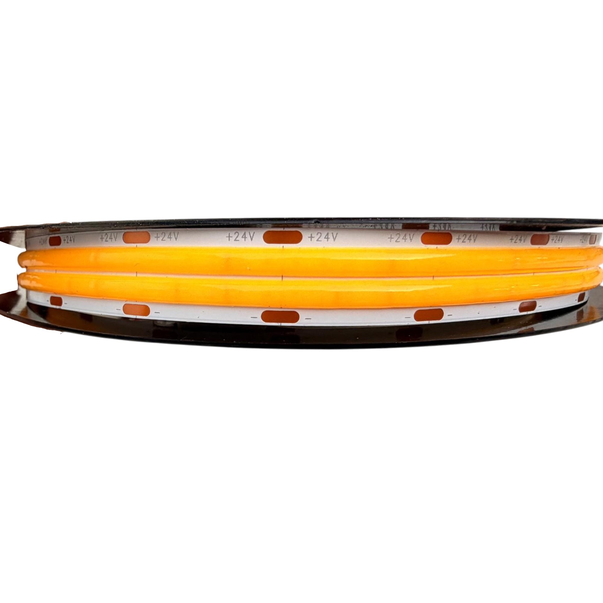 UL certified indoor 24V FCOB double row LED strip light on reel showing dual COB LED rows and flexible strip design