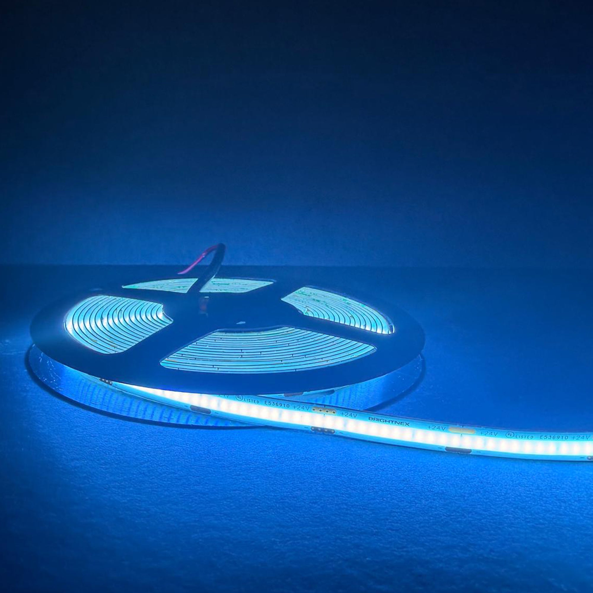 UL certified indoor 24V FCOB LED strip light ice blue color showing bright dotless blue illumination on flexible LED strip