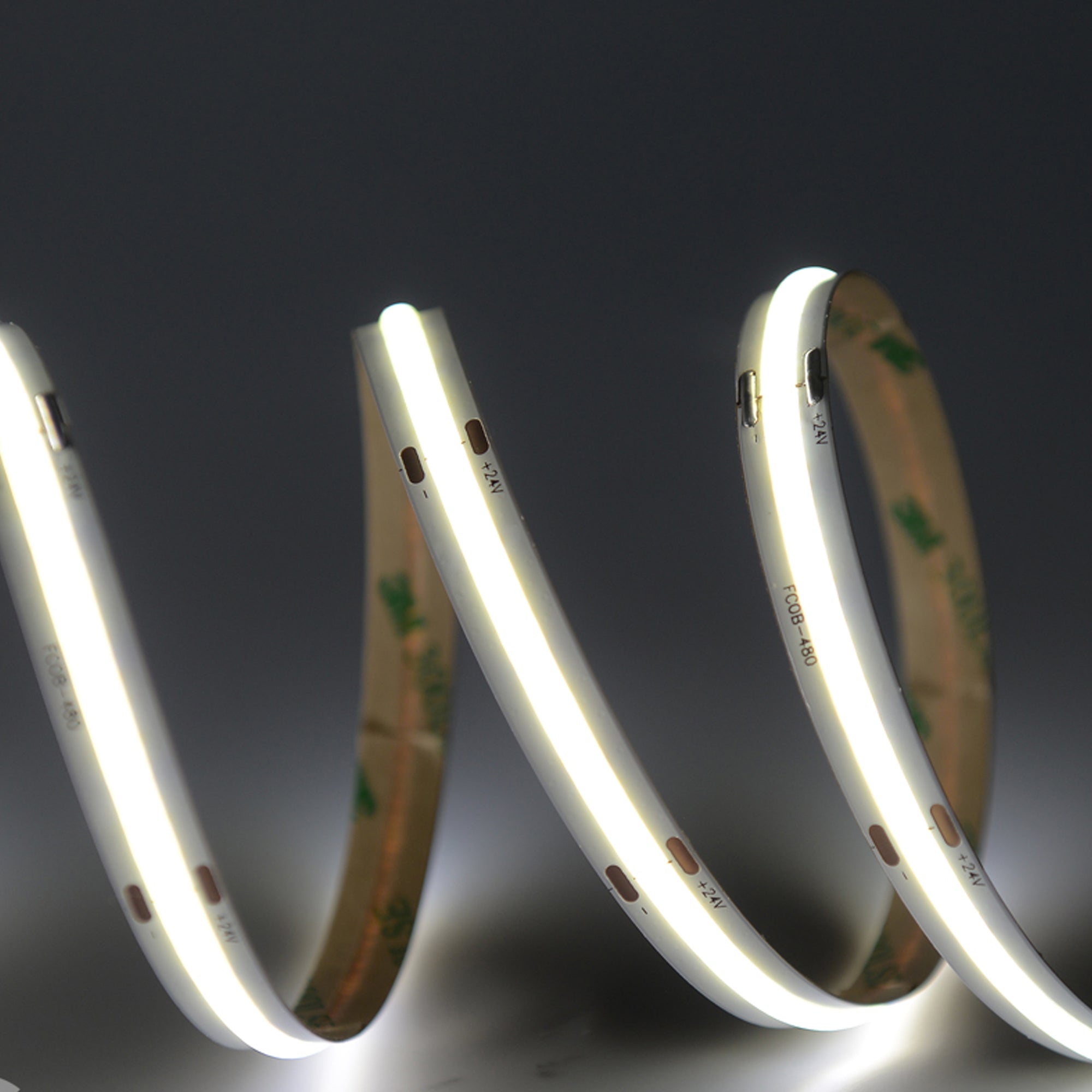 Outdoor IP65 Dimmable Dotless Single Color LED Strip Lights