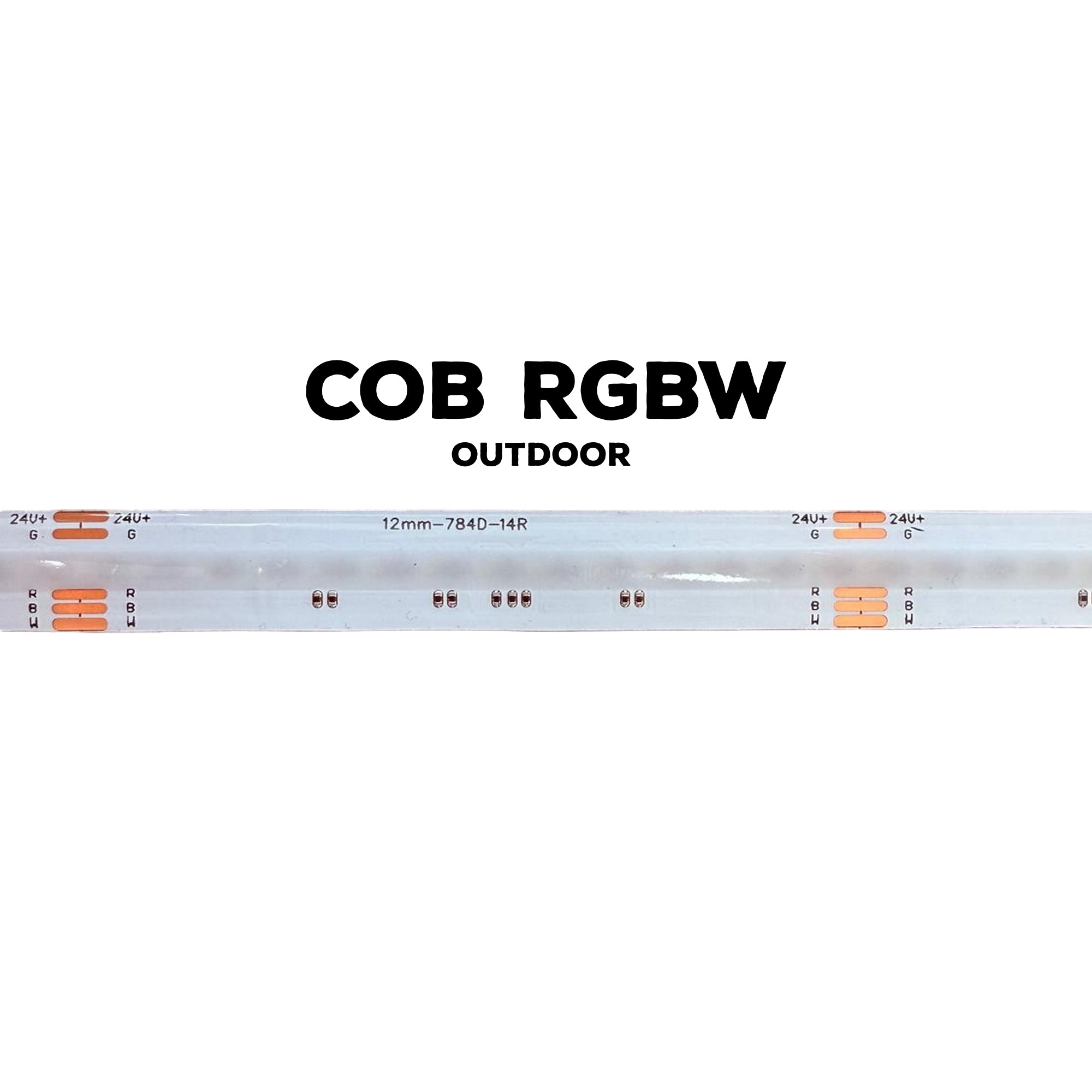 RGBW COB LED Strip Light –  Dimmable, Dotless - Outdoor - 24V, 12mm – 3000K / 5000K – 16.5ft & 82ft - UL Certified