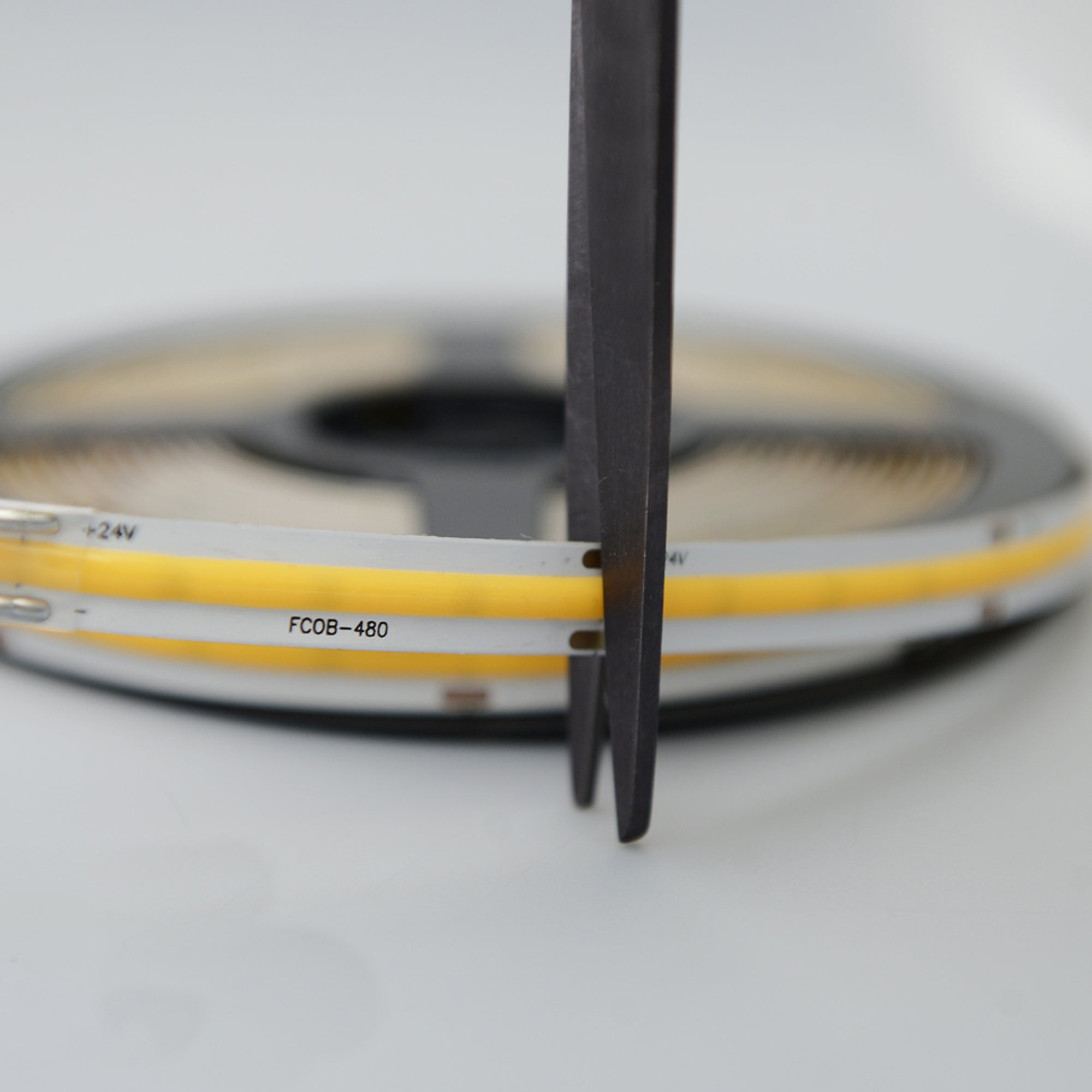 UL listed 24V 8mm COB LED strip light close up showing cuttable flexible dotless indoor LED strip